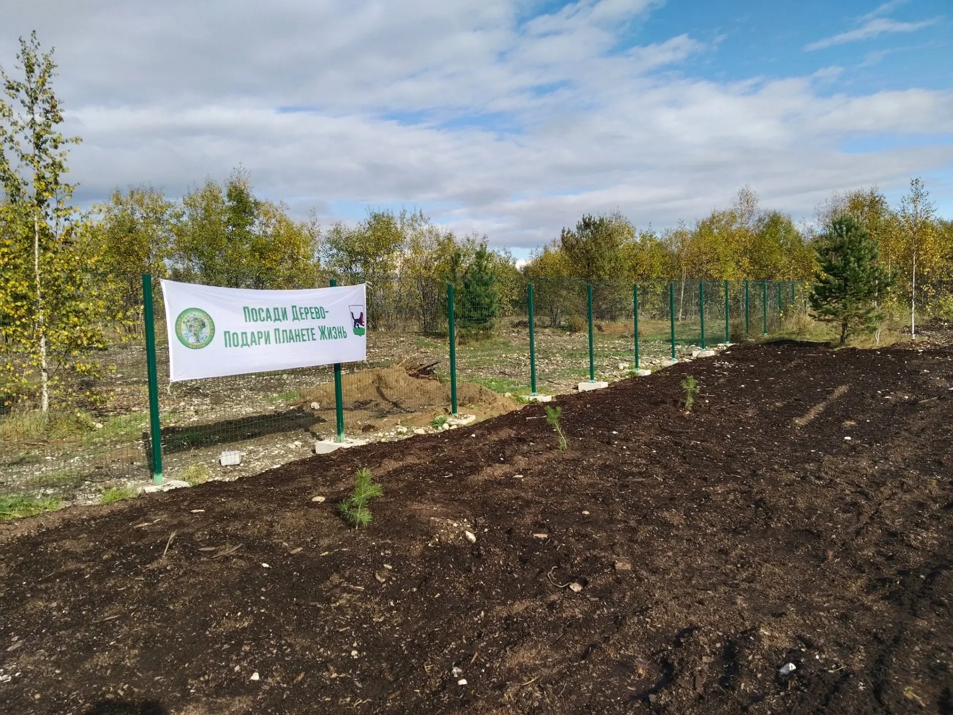 The XII International Reforestation Forum "Baikal Ecosystem 2026" Held in Irkutsk